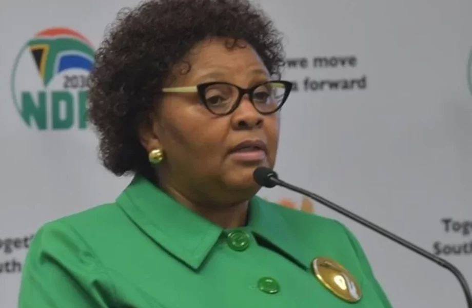 P20 Summit: South African National Assembly Speaker, Nosiviwe Mapisa-Nqakula leads the delegation